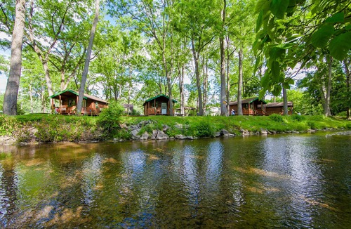 Montour Falls Cottage | Rustic Comfort on Peaceful Catharine Creek- Cottage 1