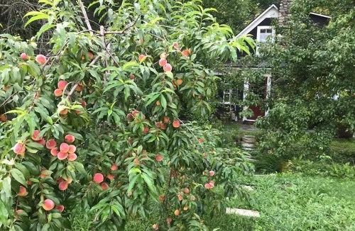 New London Cottage | Rustic cottage on brook