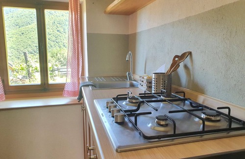 Centovalli Apartment | Rustic cottage surrounded by meadows and woods (BAITA DEL FAGGIO)