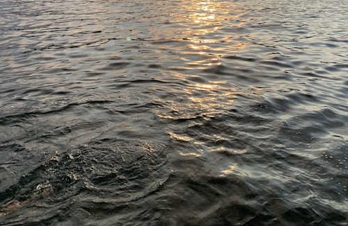 Harveys Lake Cottage | Rustic Cottage W/kayaking, Lake and Boating