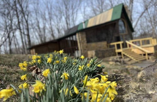 Whites Creek Cabin | Rustic Cozy Cabin, 20 minutes from Downtown Nashville! 30 day minimum stay