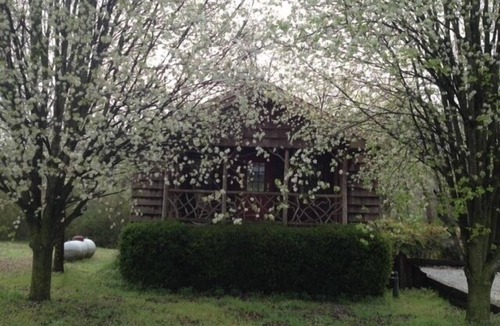 Wildwood Cabin | Rustic Cozy Cabin with Hot Tub!