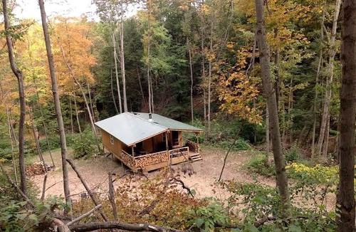 Dalton House | Rustic Creekside Cabin on 100-Acre Forest near Letchworth Park, New York