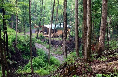 Dalton House | Rustic Creekside Cabin on 100-Acre Forest near Letchworth Park, New York