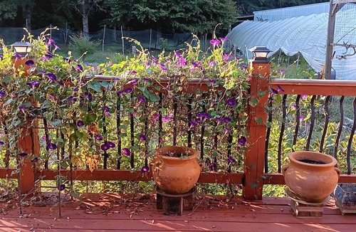 Covington House | Rustic Elegance: Farmhouse Retreat in Covington by RedAwning