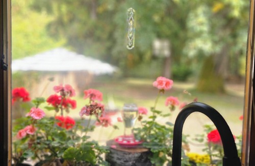 Sequim Apartment | Rustic, enchanting, cozy little cabin in Sequim