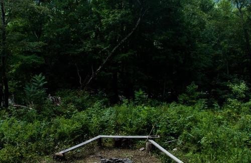 De Lancey Cottage | Rustic Family Cabin (PET FRIENDLY, WiFi, FULLY FUNCTIONAL HOME)