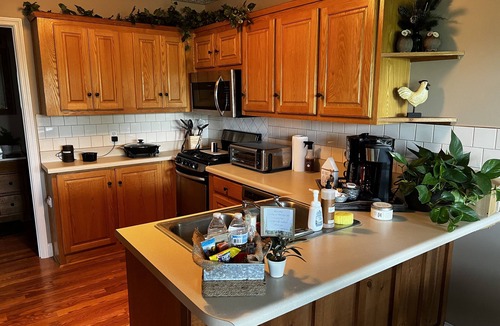 Dawsonville Apartment | Rustic Getaway - Peaceful North GA Mountains - King Sized Bed