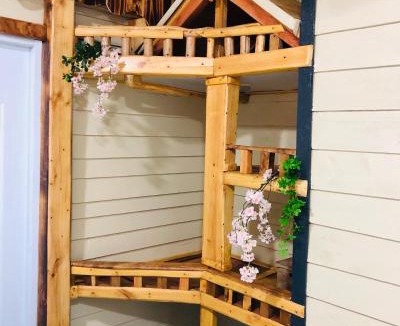 Punta Rucia Apartment | Rustic House 2