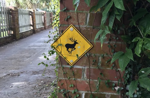 Orlando Cabin | Rustic Lakefront Cabin in the Woods