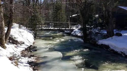 Lisbon House | Rustic Log Cabin #6 - "Fireside" Near Franconia Notch State Park
