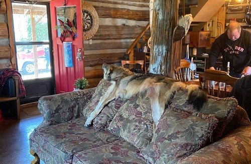 Lanark Highlands Cabin | Rustic log cabin - Lanark Highlands