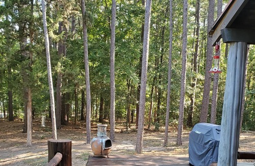 Hawkins Cabin | Rustic Log Cabin on beautiful Lake Hawkins