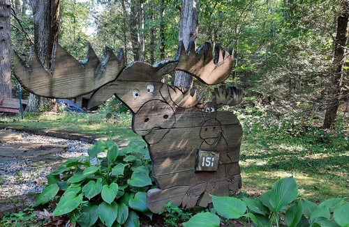 Douglas Cabin | Rustic Log Cabin on the Lake