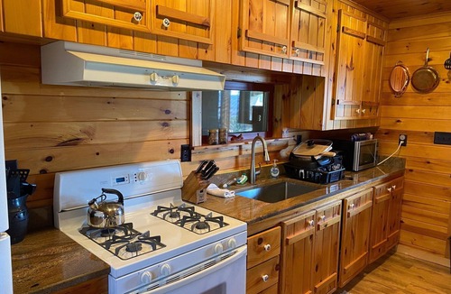 Canaseraga Cabin | Rustic Log Cabin with Pond and Breathtaking View