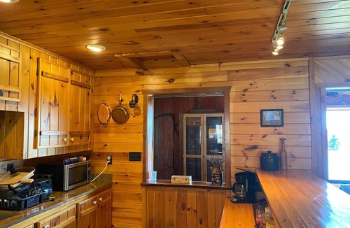 Canaseraga Cabin | Rustic Log Cabin with Pond and Breathtaking View