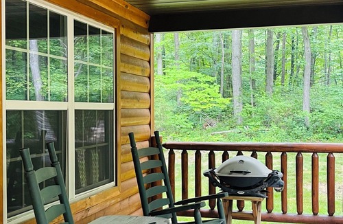 Mattawana House | Rustic Log Home, 2 Bedroom with loft, Quiet and Secluded.