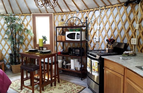 Claxton Cabin | Rustic Luxury: Riverfront Yurt Glamping in Claxton, Georgia