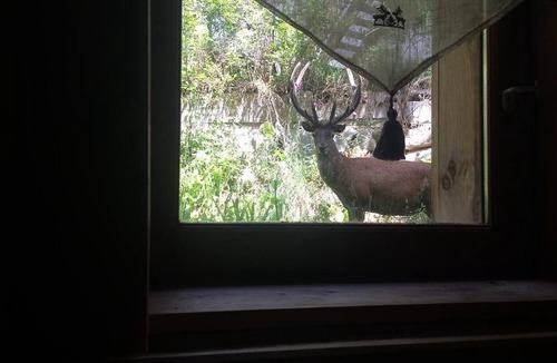 Formigueres Ski Chalet | Rustic Mountain Chalet with Jacuzzi