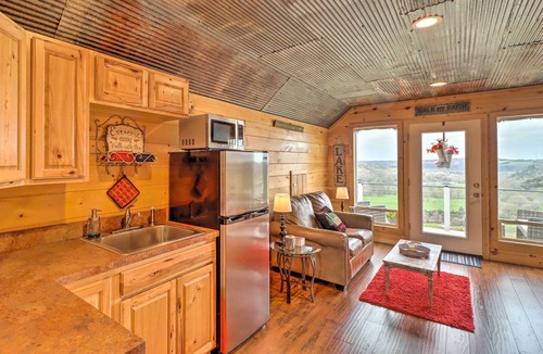 Norfork Apartment | Rustic Norfork Studio w/Million Dollar View!