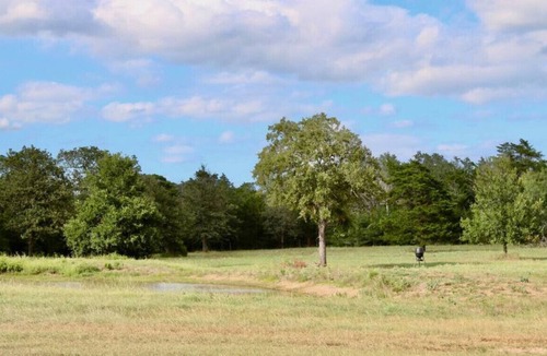 Smithville House | Rustic Ranch RV Escape