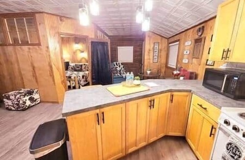 Avinger House | Rustic Retreat near nLake O the Pines