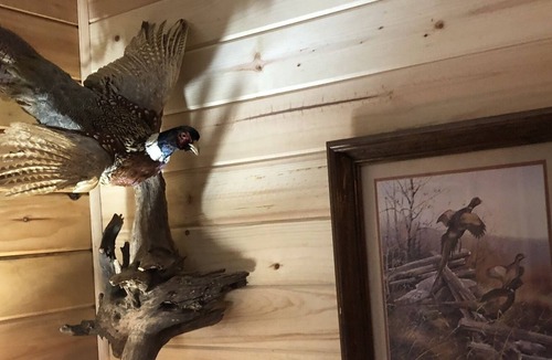 Hardy House | Rustic Ridge Hardy/Spring River - 2000 sqft