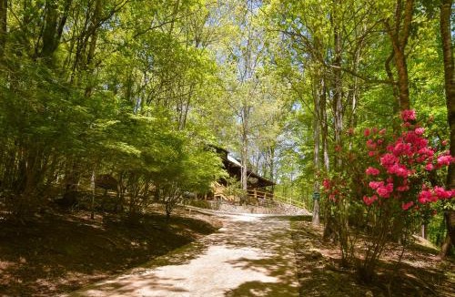 Mineral Bluff House | Rustic Ridge