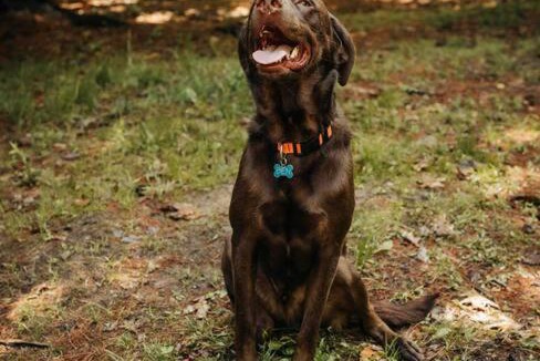 Penn Yan House | Rustic Ridge