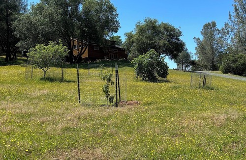 Penn Valley Apartment | Rustic Studio Getaway Pet Friendly