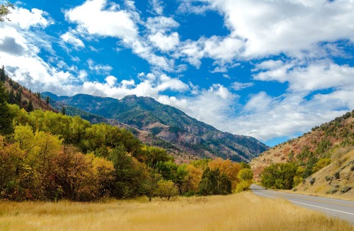 St. Charles Cabin | Rustic studio w/ a kitchenette plus shared sports courts, grills, & more