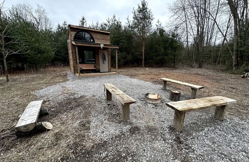 Langton Cabin | Rustic Tiny Home Surrounded by Nature and Forest Trails in Simcoe, Canada