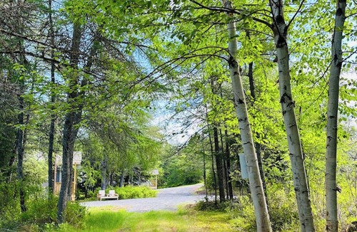 Port Blandford Cabin | Rustic Wave Cottages-Glamping Pod #1