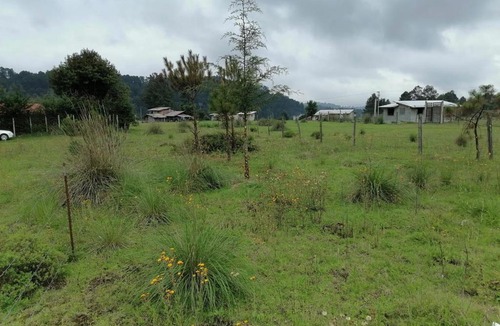 Valle de Bravo House | Rusticabaña los saucos