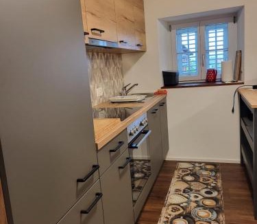 Emmetten Apartment | Rustico Apartment in Emmetten
