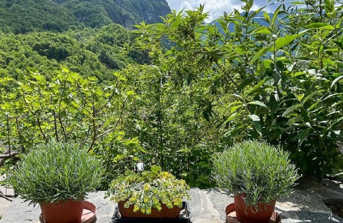 Cavergno House | Rustico Nonno Milton by Interhome