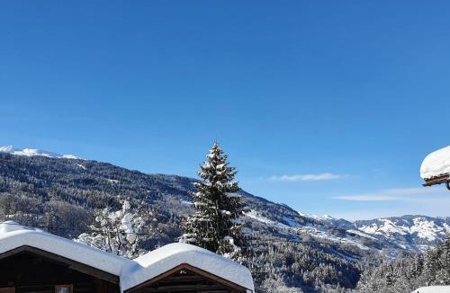 Klosters-Serneus Ski Chalet | Rustico Pagrüeg