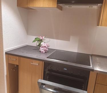 Malters Apartment | Rustikale Wohnung auf dem Bauernhof