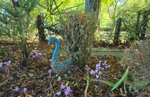 Rai House | Rustique & authentique maison au vert