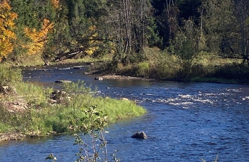 Lawrenceville RV Rental | Rv and campsite on the Deer River. 50 amp, sewage dump. 15x60 pad