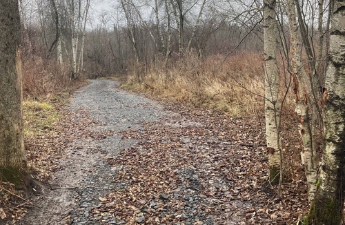 Lawrenceville RV Rental | Rv and campsite on the Deer River. 50 amp, sewage dump. 15x60 pad