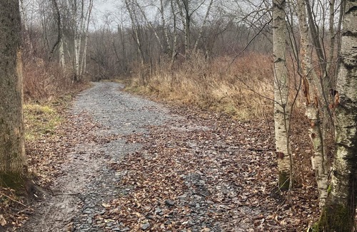 Lawrenceville RV Rental | Rv and campsite on the Deer River. 50 amp, sewage dump. 15x60 pad