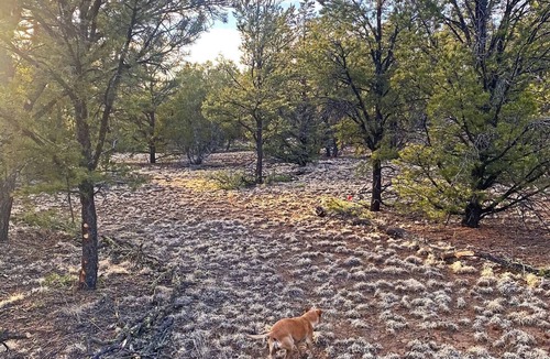 Quemado RV Rental | RV Mountain Getawaynn