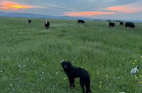 St. Ignatius RV Rental | RV/tent camping