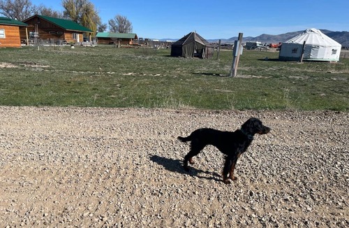 Hot Springs House | Rv - Van Camping at Hot Springs Campground