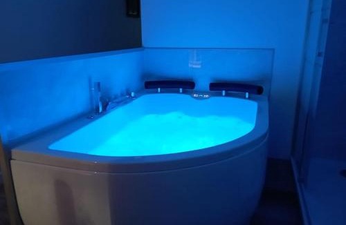 La Roche-sur-Yon Apartment | Séjour Sauna et Jacuzzi Cocon