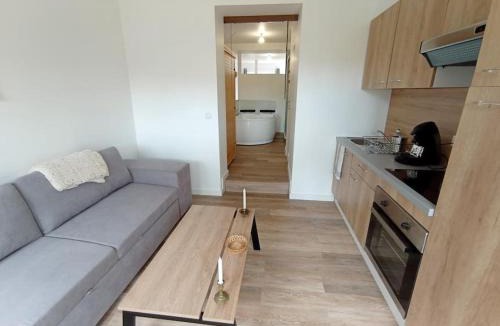 La Roche-sur-Yon Apartment | Séjour Sauna et Jacuzzi Cocon