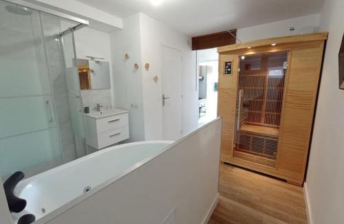 La Roche-sur-Yon Apartment | Séjour Sauna et Jacuzzi Cocon