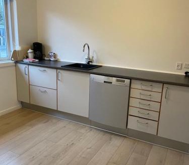 Viborg Apartment | Søhusets anneks2