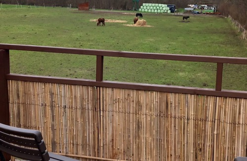 Sønderborg Apartment | Sønderborg in Denmark